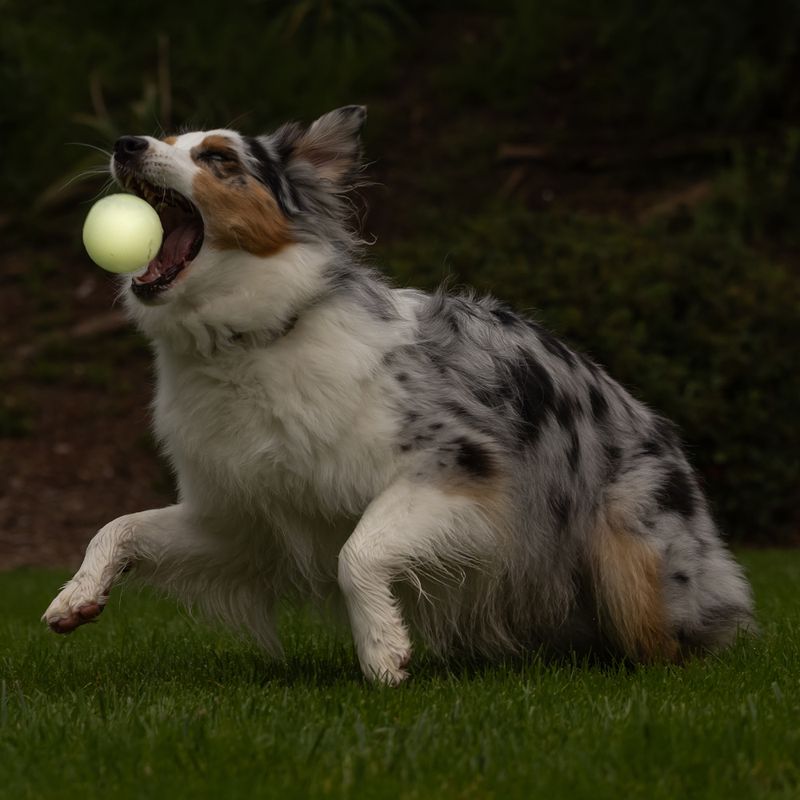 Chuckit! – Max Glow Ball – Caucho Luminescente