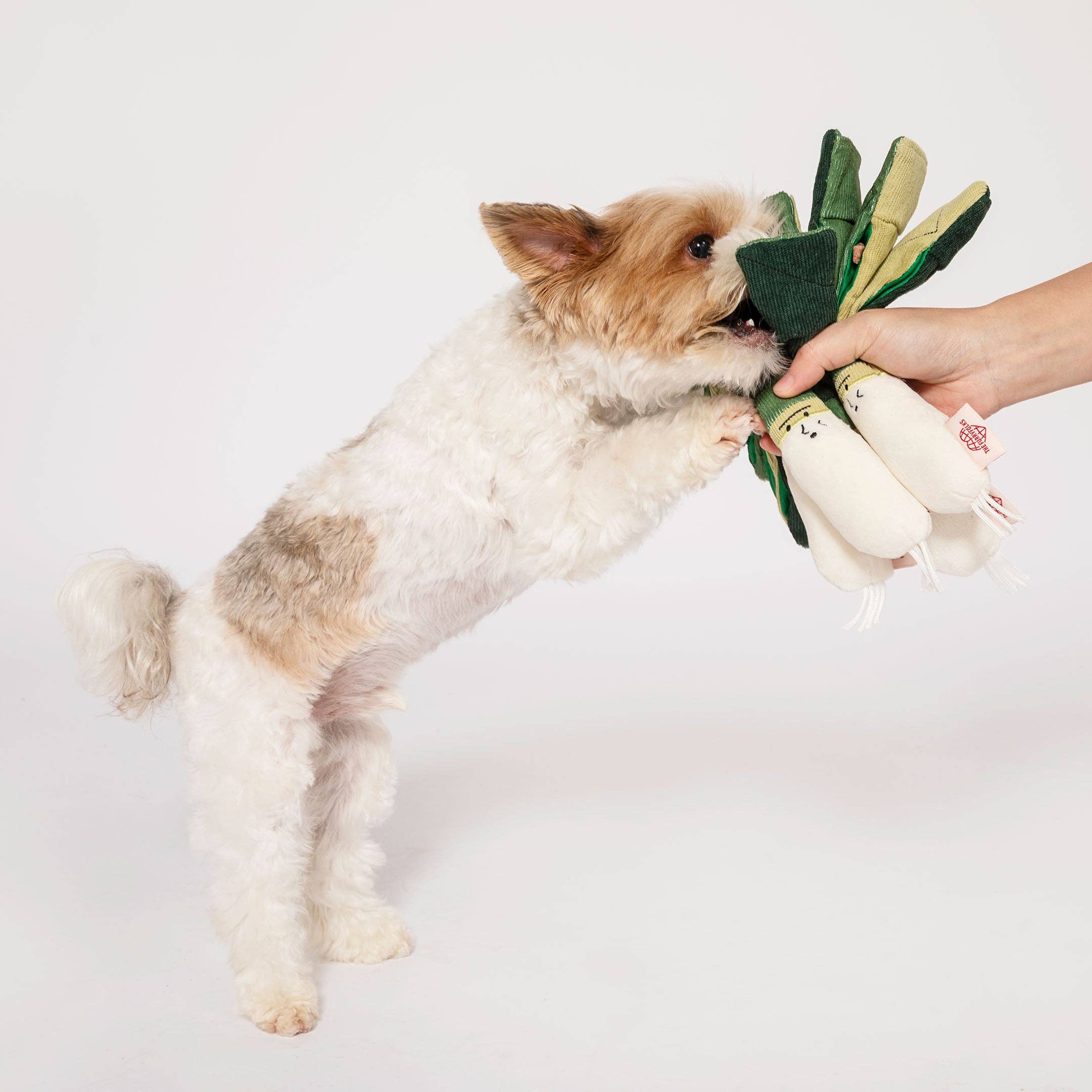 The Furryfolks – Green Onion – Dog Interactive Nosework Toy