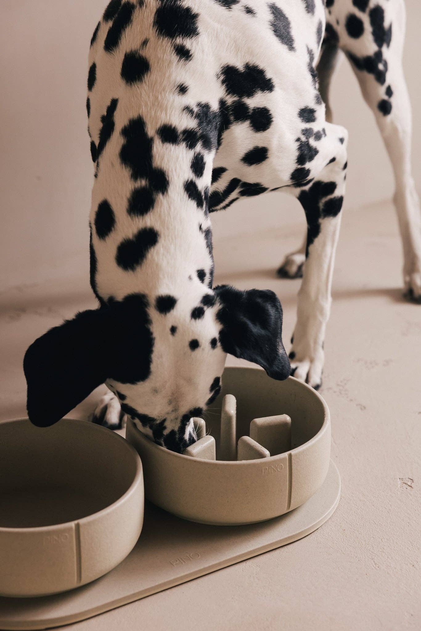 Pino – Slow Feeder Bowl – Ultra-durable Sandstone & Hypoallergenic