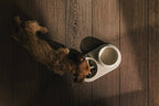 Pino – Slow Feeder Bowl – Ultra-durable Sandstone & Hypoallergenic