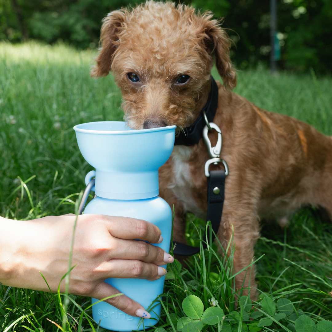 Springland – Flip Sky Blue – Portable Travel Bottle 590ML