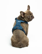 United Pets – Citylife H-Harness Jeans – Padded Comfort