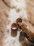 Pino – Slow Feeder Bowl – Ultra-durable Sandstone & Hypoallergenic