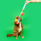 The Furryfolks – Fishing – Jugete Interactivo Tira y Afloja