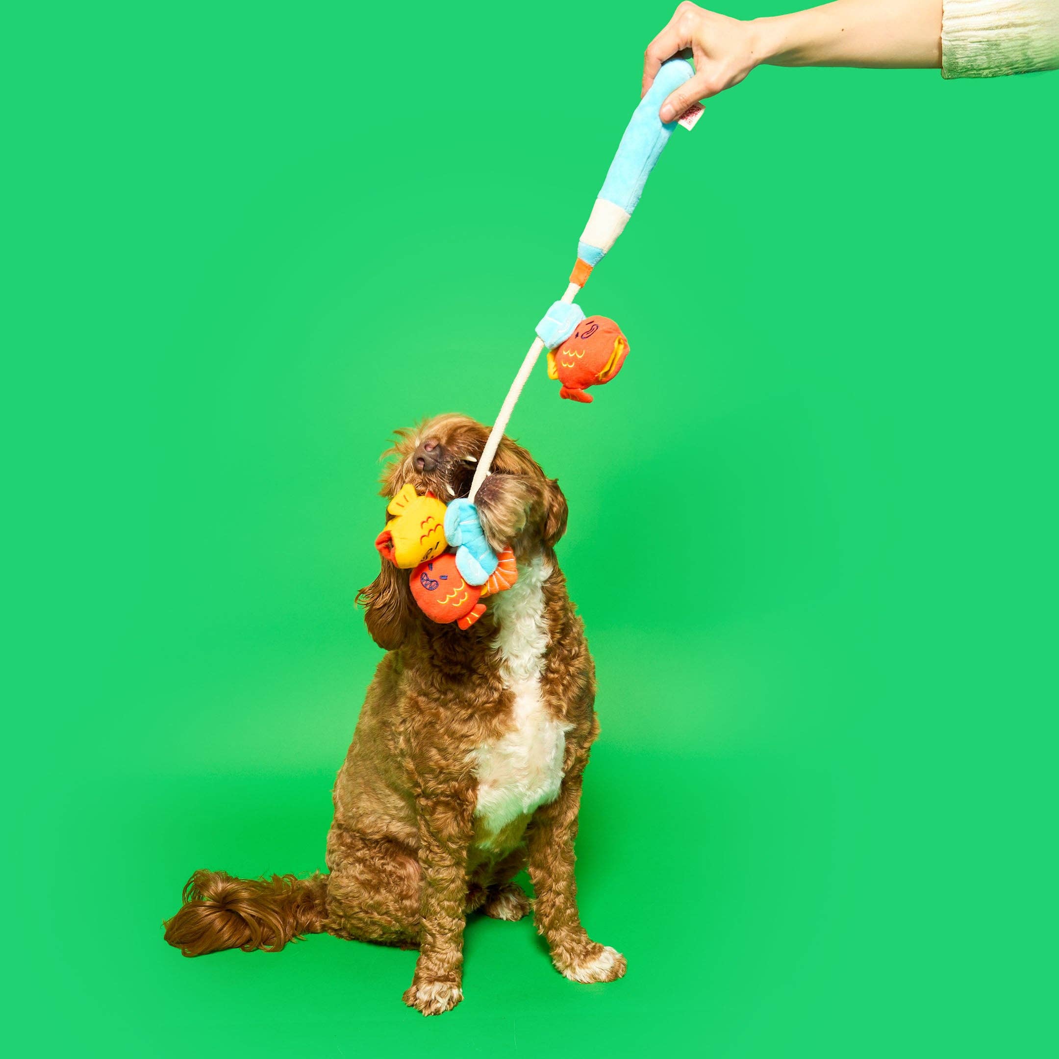 The Furryfolks – Fishing – Jugete Interactivo Tira y Afloja