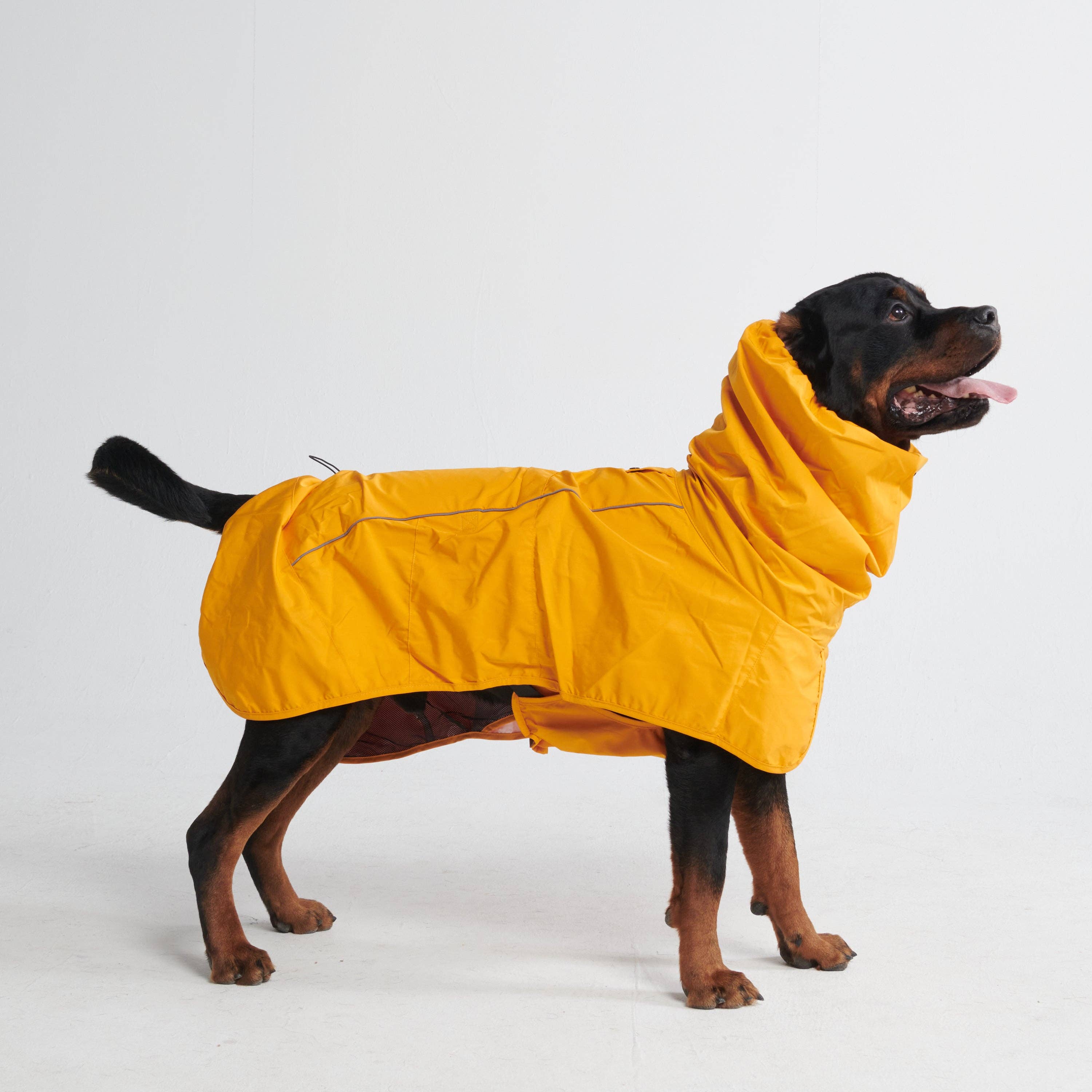 Spark Paws - Breatheshield™ Dog Raincoat - Mustard Yellow