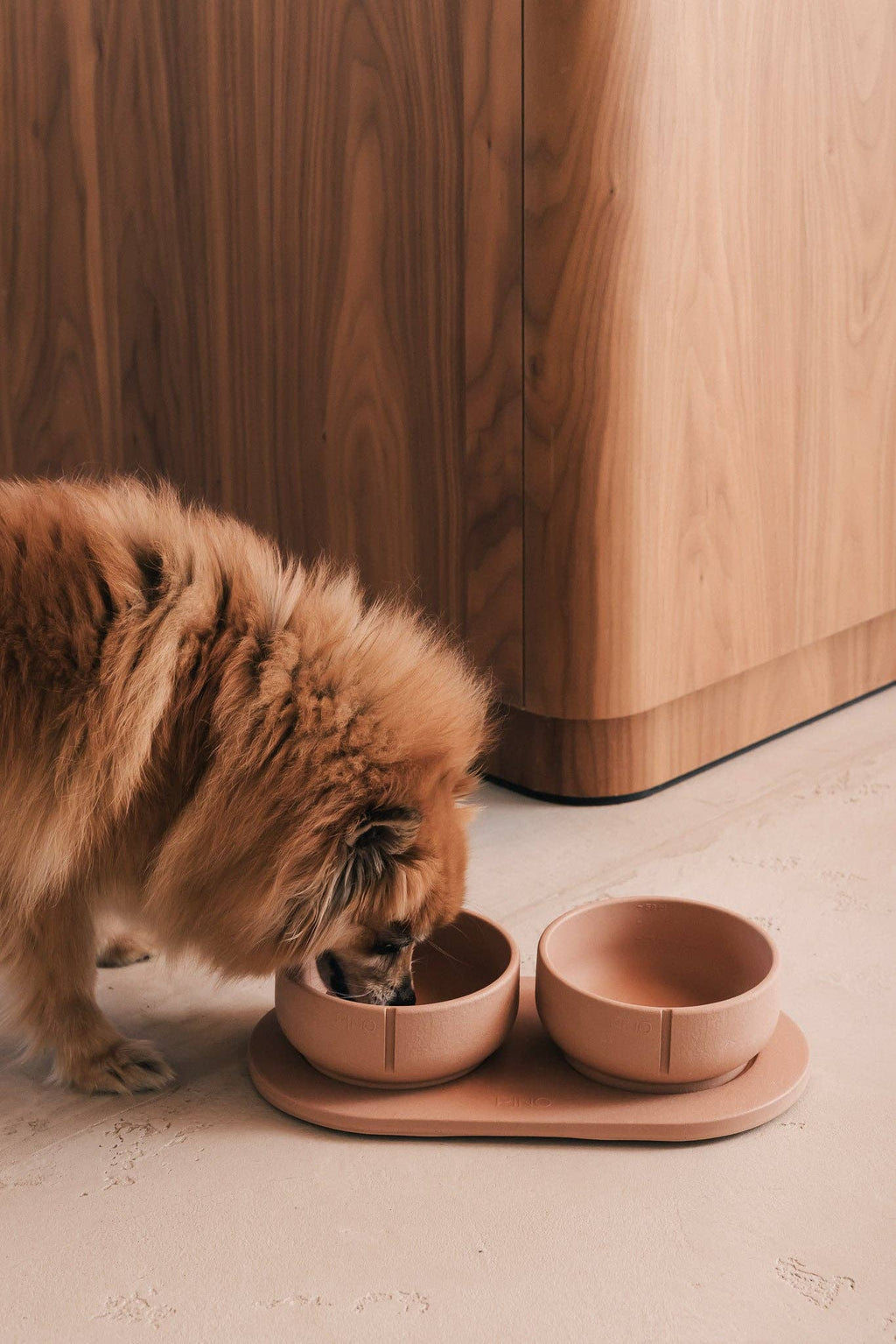 Pino – Classic Dog Bowl – Ultra-durable Sandstone & Hypoallergenic