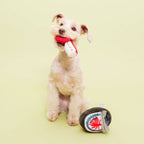 The Furryfolks – Tinned Octopus – Dog Interactive Nosework Toy