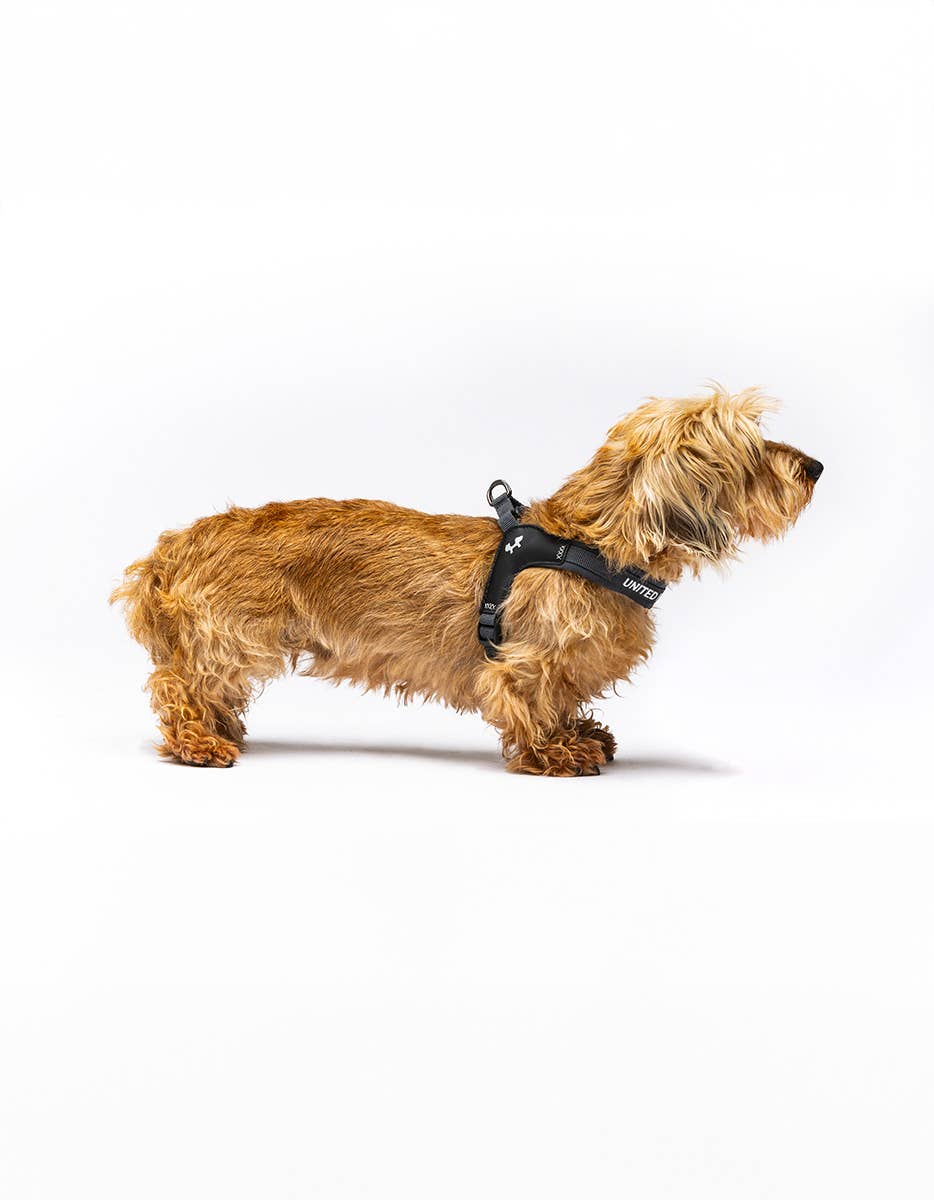 United Pets – Citylife Harness Anthracite Grey – Fast Fit