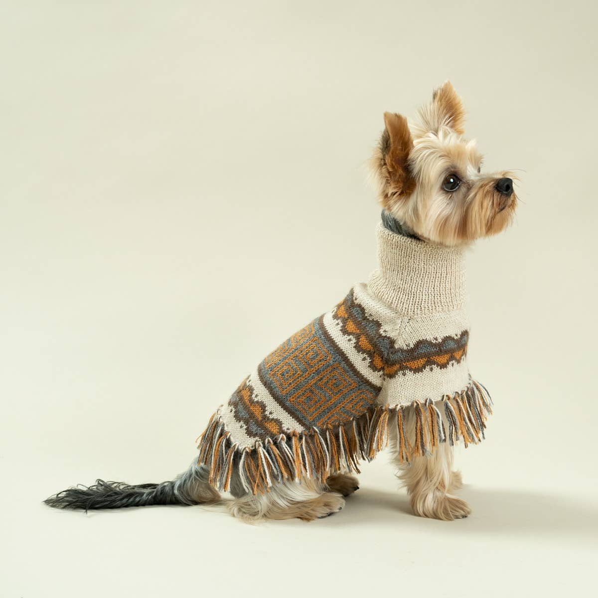 Alqo Wasi - Pisac Alpaca Dog Poncho