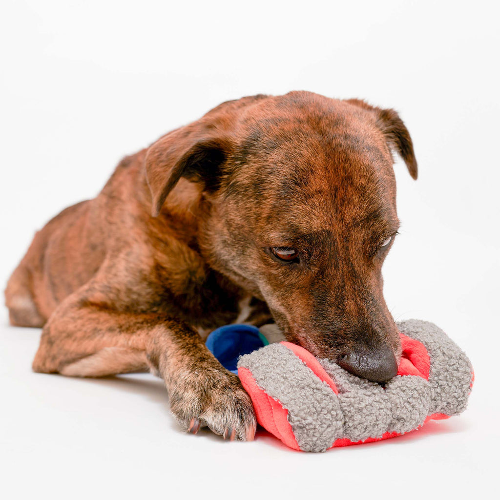 The Furryfolks – Tinned Salmon – Dog Interactive Nosework Toy