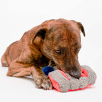 The Furryfolks – Tinned Salmon – Dog Interactive Nosework Toy