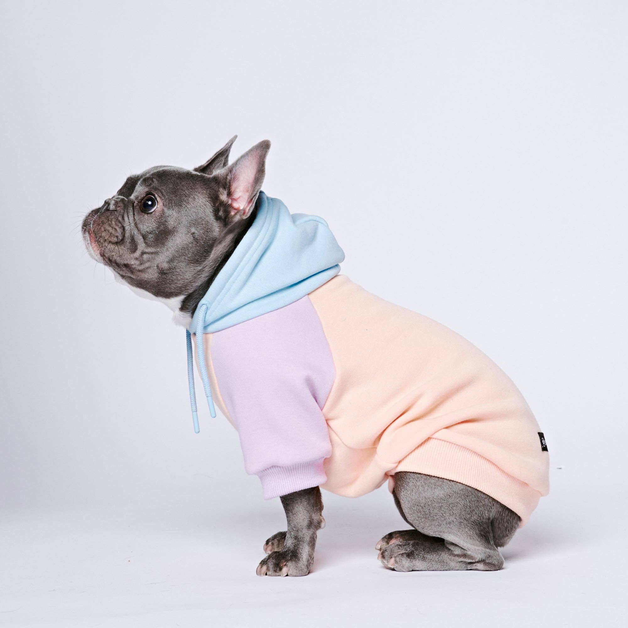 Spark Paws - Cotton Candy Dog Hoodie