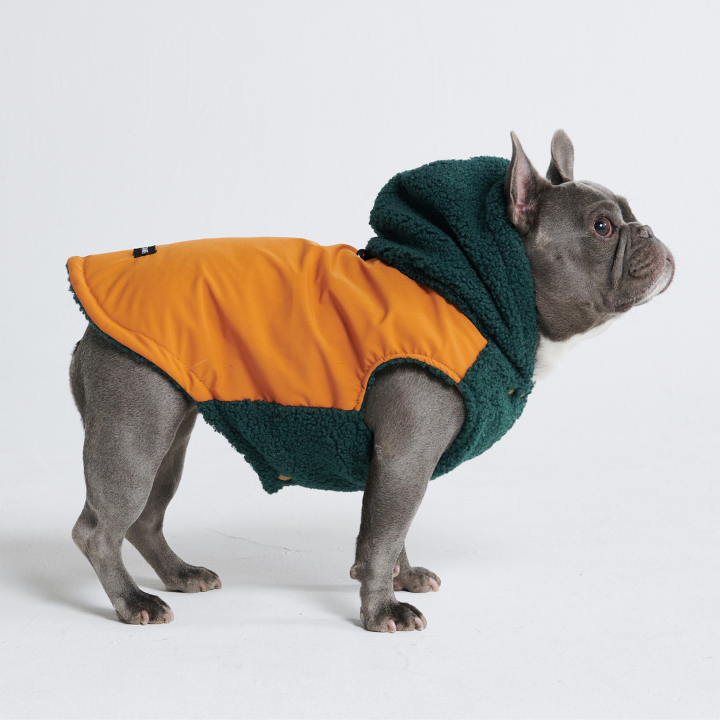 Spark Paws - Reversible Jacket - Green and Orange