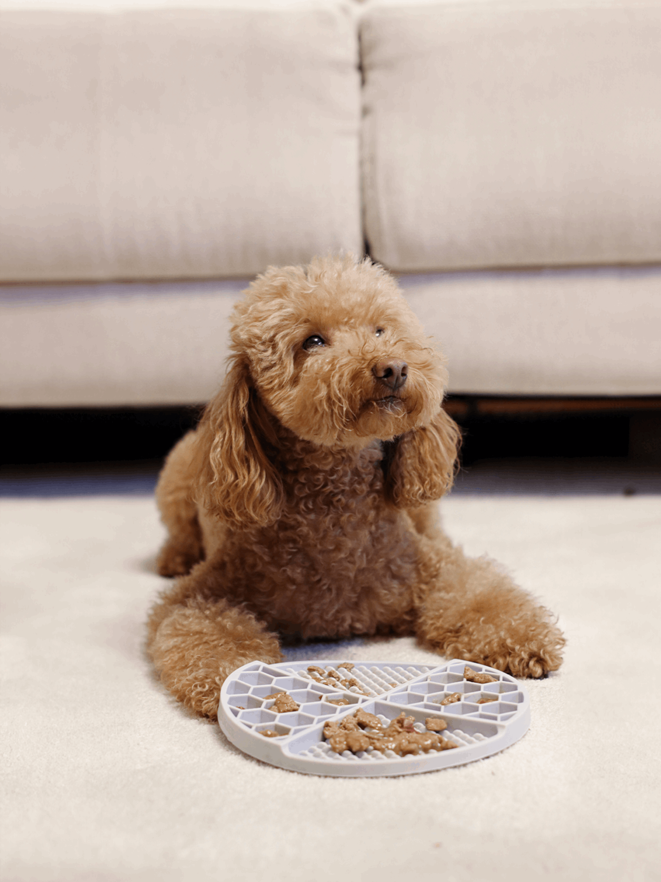 Dukier – Lick Mat – Stress-Reducing Food-Grade Silicone