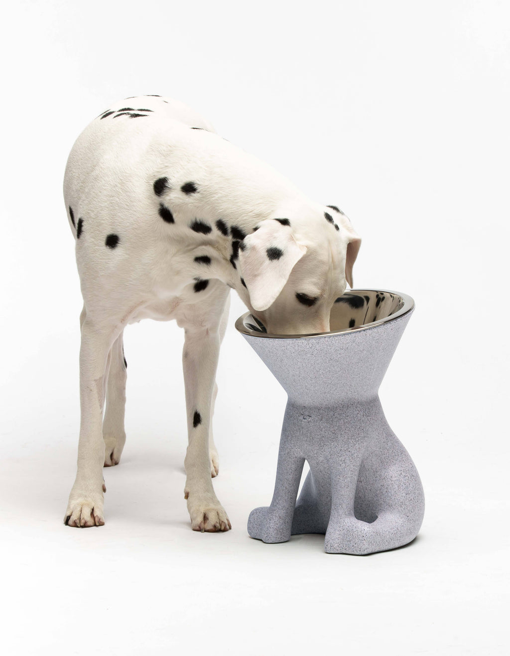 United Pets – Elizabeth – Raised Dog Bowl 1.1L