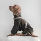 Lambwolf – Otto Harness – Waterproof