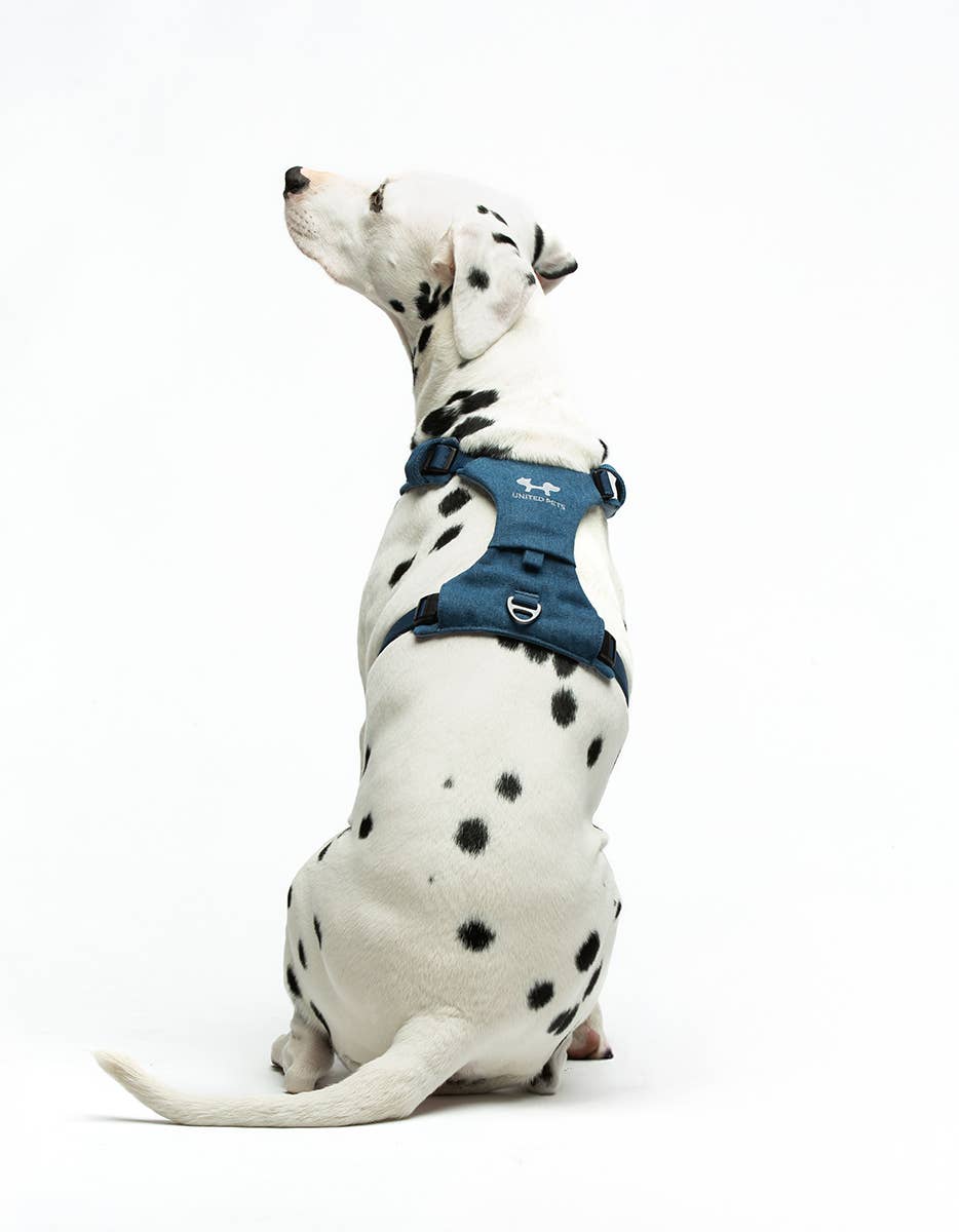 United Pets – Citylife H-Harness Jeans – Padded Comfort