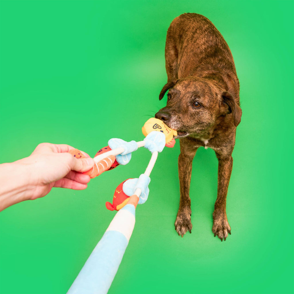 The Furryfolks – Fishing – Jugete Interactivo Tira y Afloja