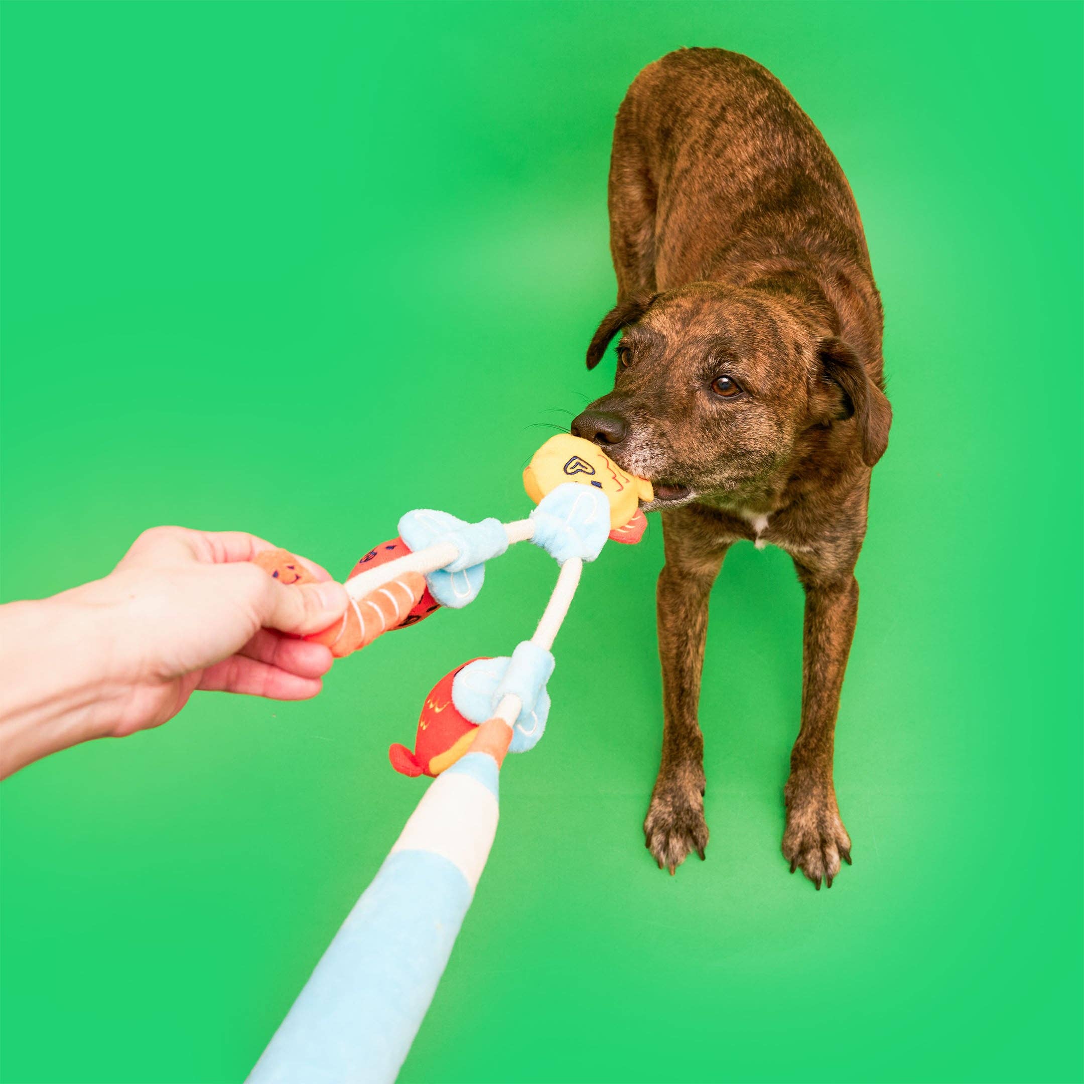 The Furryfolks – Fishing – Jugete Interactivo Tira y Afloja