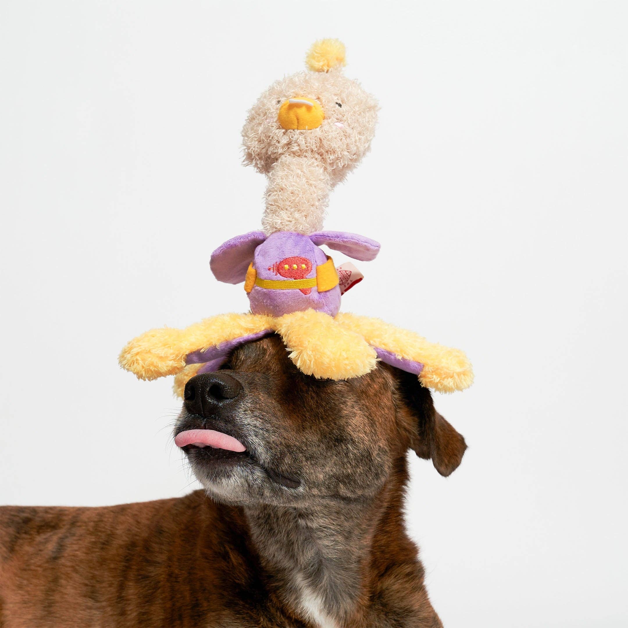 The Furryfolks – OstriKraken – Juguete Interactivo