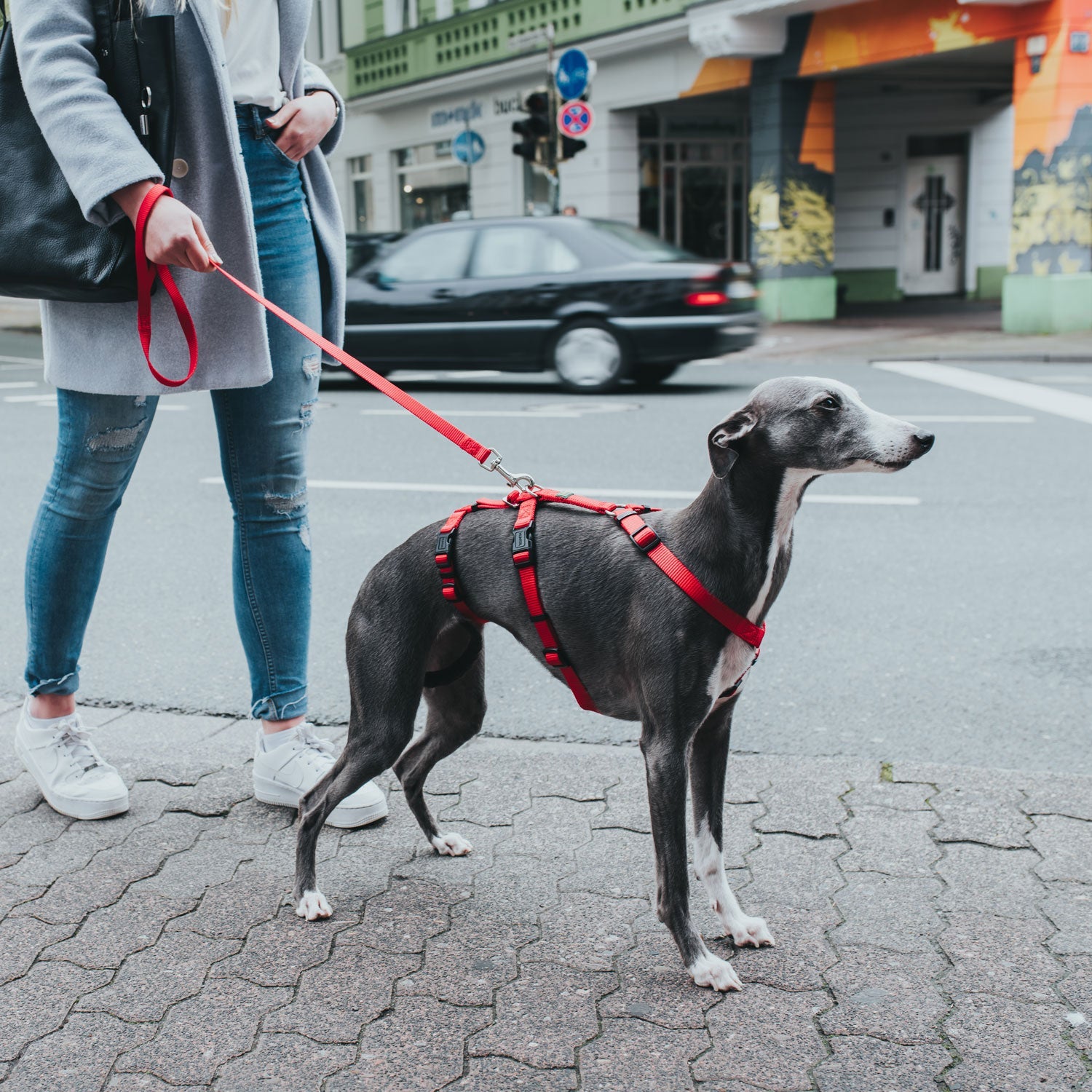 Hunter - Three Point Harness Red