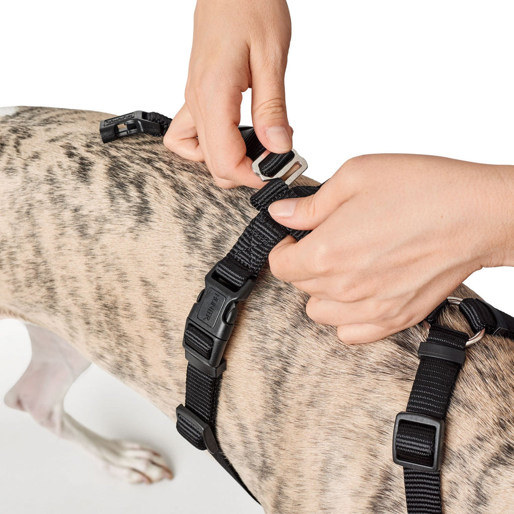 Hunter - Three Point Harness Red