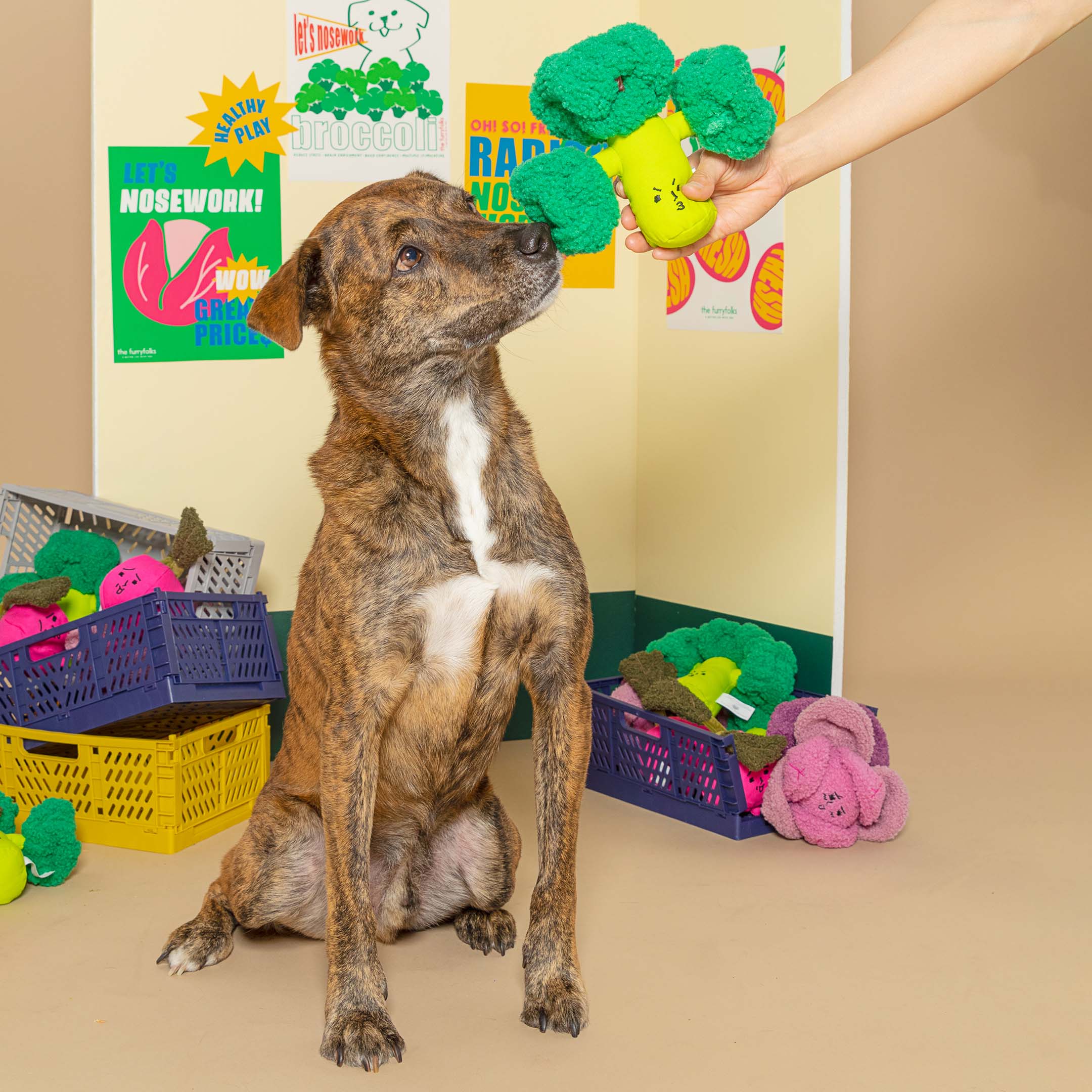 The Furryfolks – Broccoli Nose – Dog Interactive Nosework Toy