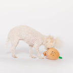 The Furryfolks – Yellow Onion – Dog Interactive Nosework Toy