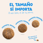 Pienso Edgard & Cooper - Salmón Noruego - Alimento Hipoalergénico Perros Adultos