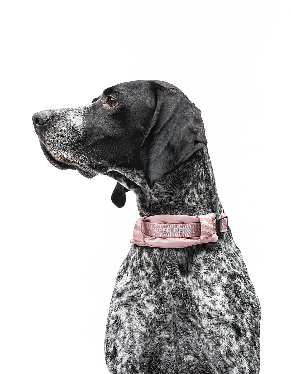 United Pets – Citylife Collar Pink – Eco-Friendly