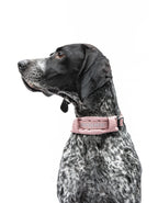 United Pets – Citylife Collar Pink – Eco-Friendly