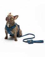 United Pets – Citylife H-Harness Jeans – Padded Comfort