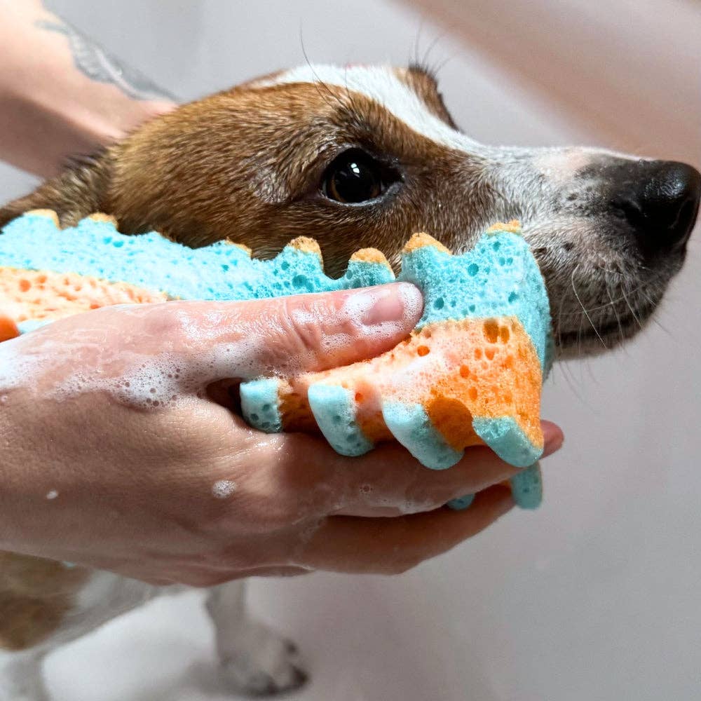 Jampy – Mr. & Ms. – Hypoallergenic Dog Bath Sponge