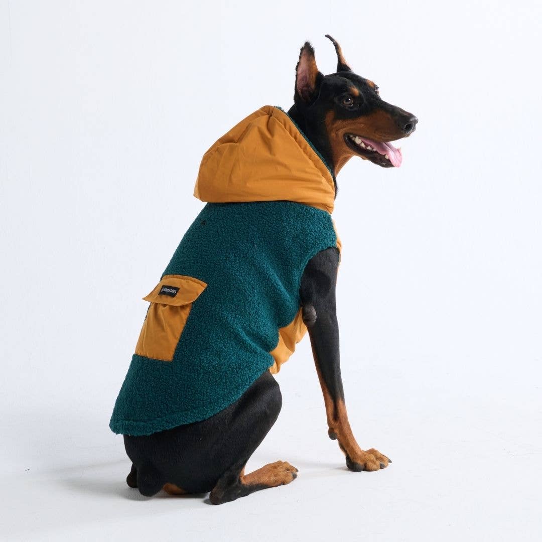 Spark Paws - Reversible Jacket - Green and Orange