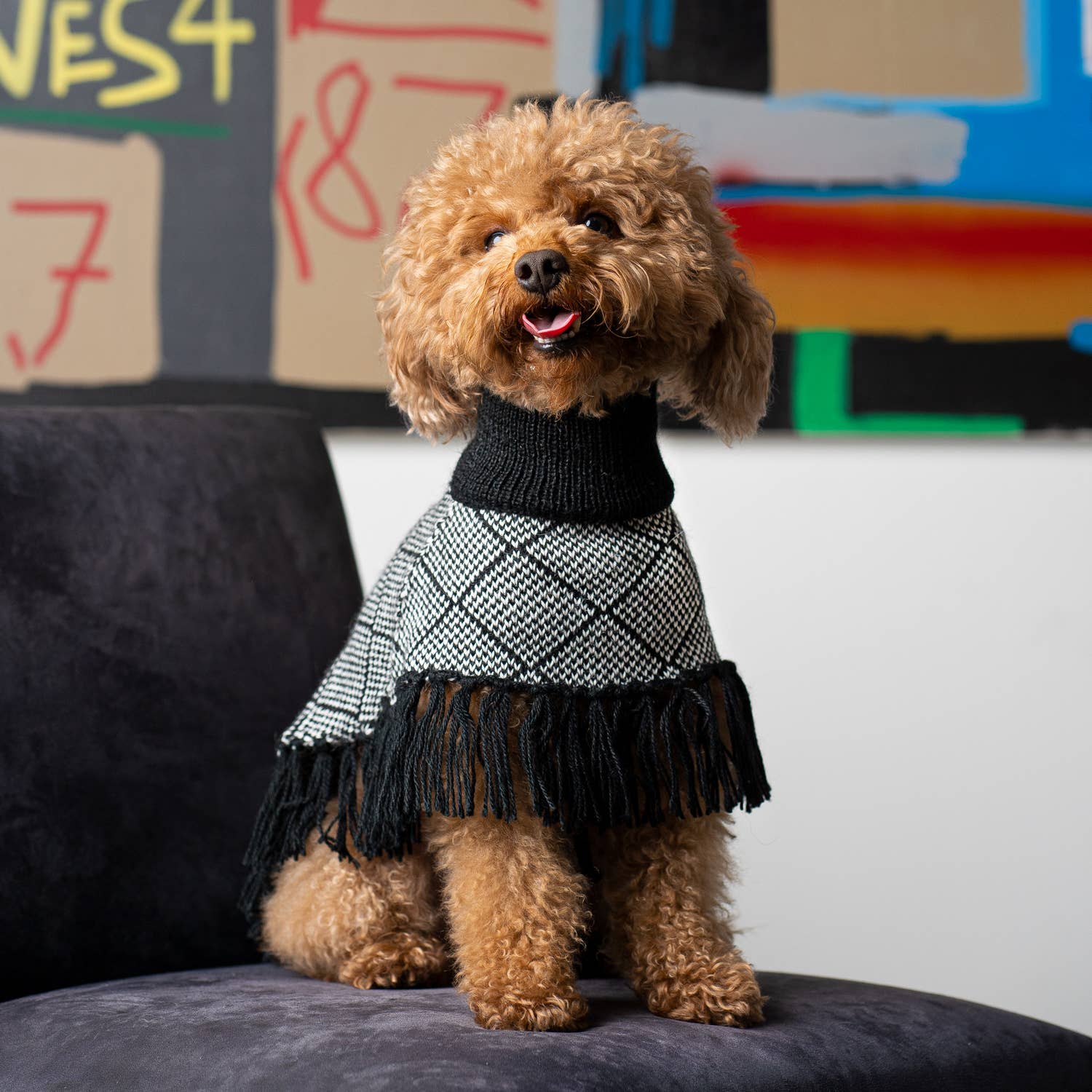 Alqo Wasi - Diamond Black Alpaca Dog Poncho