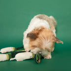 The Furryfolks – Green Onion – Dog Interactive Nosework Toy
