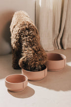 Pino – Classic Dog Bowl – Ultra-durable Sandstone & Hypoallergenic