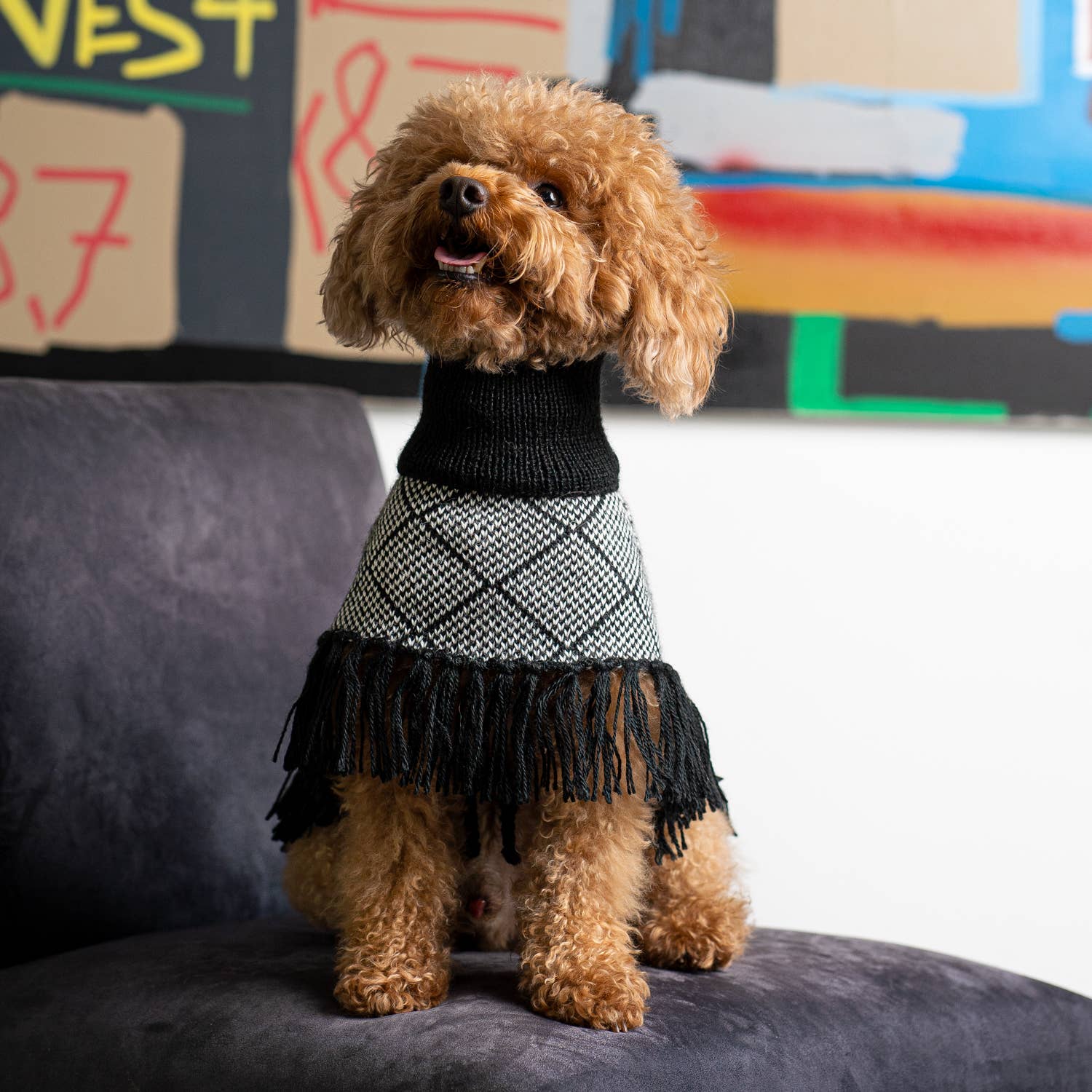 Alqo Wasi - Diamond Black Alpaca Dog Poncho