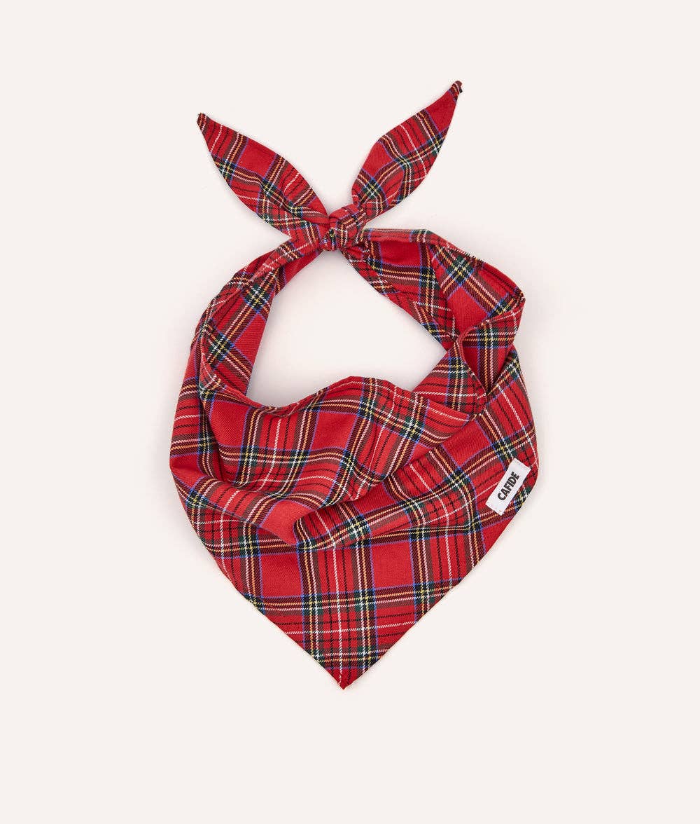 CAFIDE – Bandana de Tartan Royal Stewart – Algodón Suave