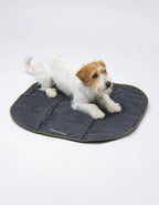 United Pets – Lazy Dog Mat – Portable Dog Mat