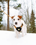 Woolly Wolf – Arnés Sea to Summit – RPET Reciclado