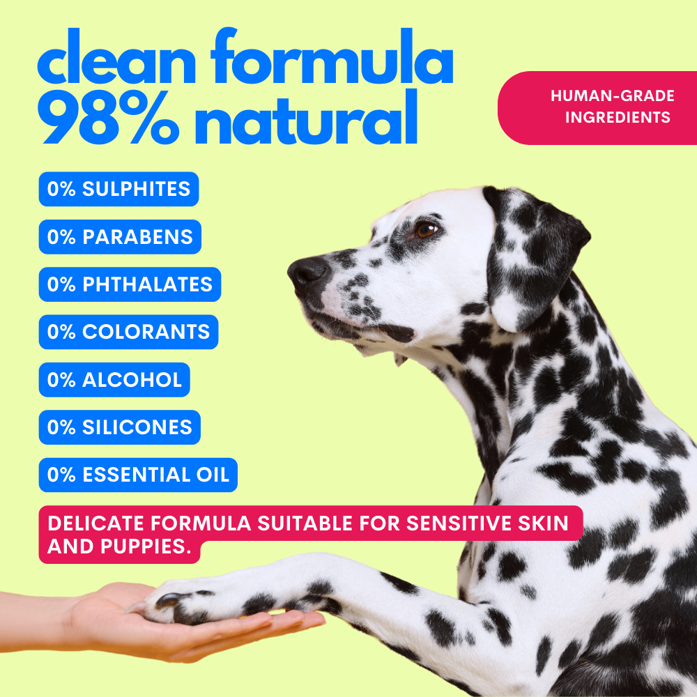 Jampy – One Two Clean – No-Rinse Dog Cleansing Gel