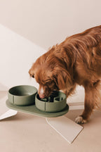 Pino – Slow Feeder Bowl – Ultra-durable Sandstone & Hypoallergenic