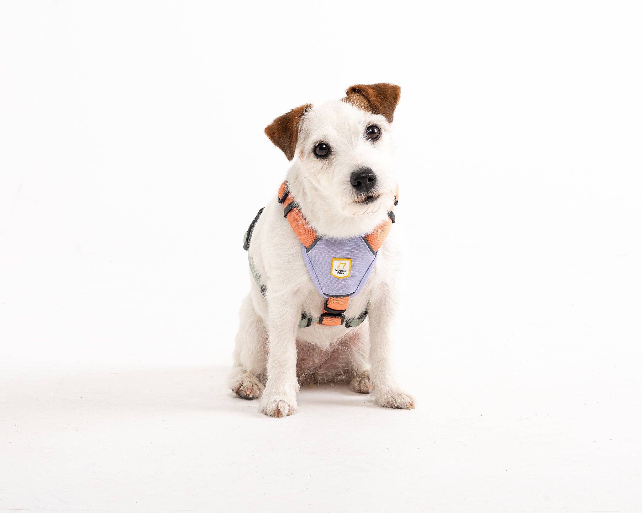 Woolly Wolf – Colour Block Harness – Recycled RPET