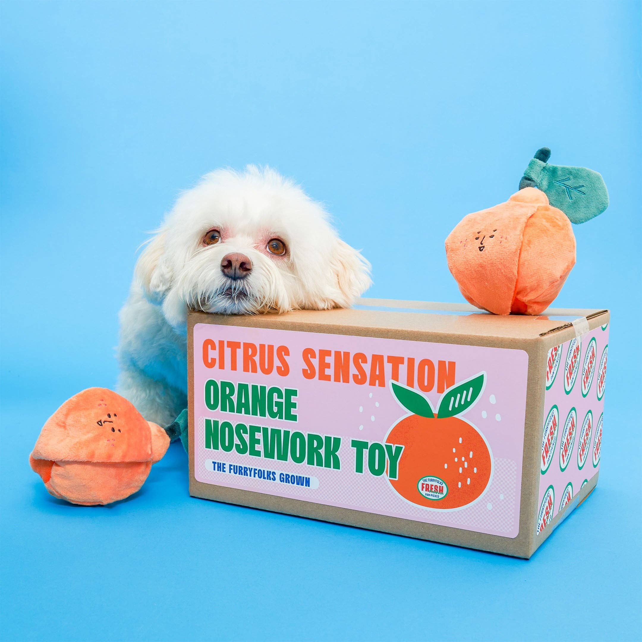 The Furryfolks – Orange – Dog Interactive Nosework Toy