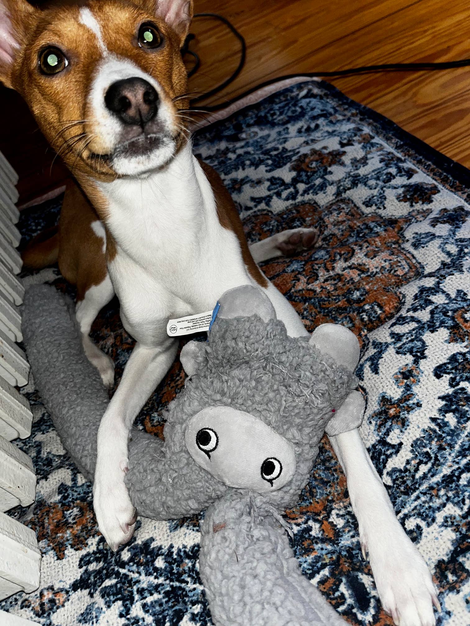 United Pets – Rosicchio – Anti Stress Plush Dog Toy With Essential Oils