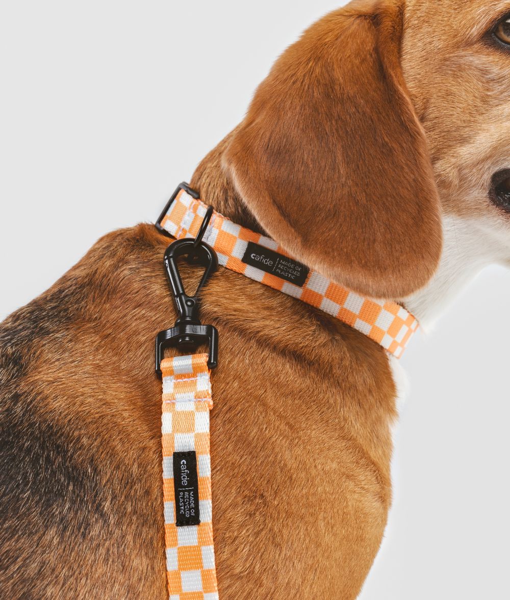 CAFIDE – Juno Leash Peach – Recycled PET