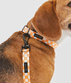 CAFIDE – Juno Leash Peach – Recycled PET