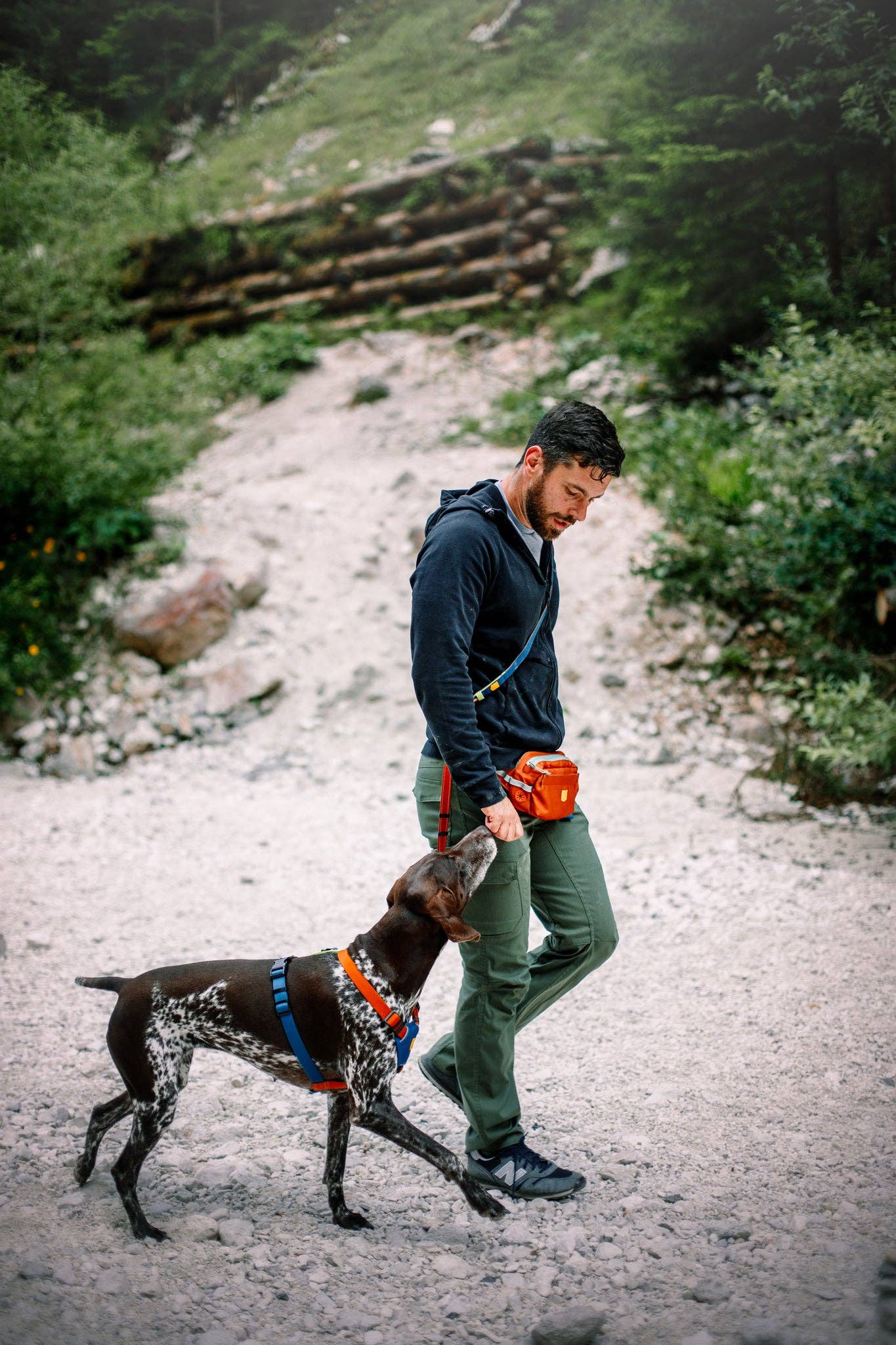 Woolly Wolf – Multi-Use Leash – Recycled RPET